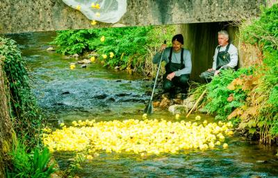 Halloween Duck Race