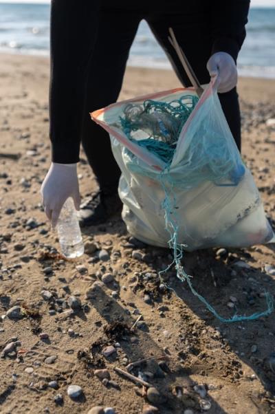 Turn Lyme Green - Lyme Regis Litter Pick