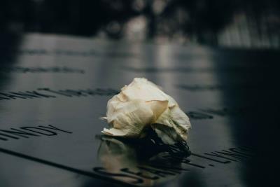 an abstract image of a white rose placed ontop of an engraved gravestone