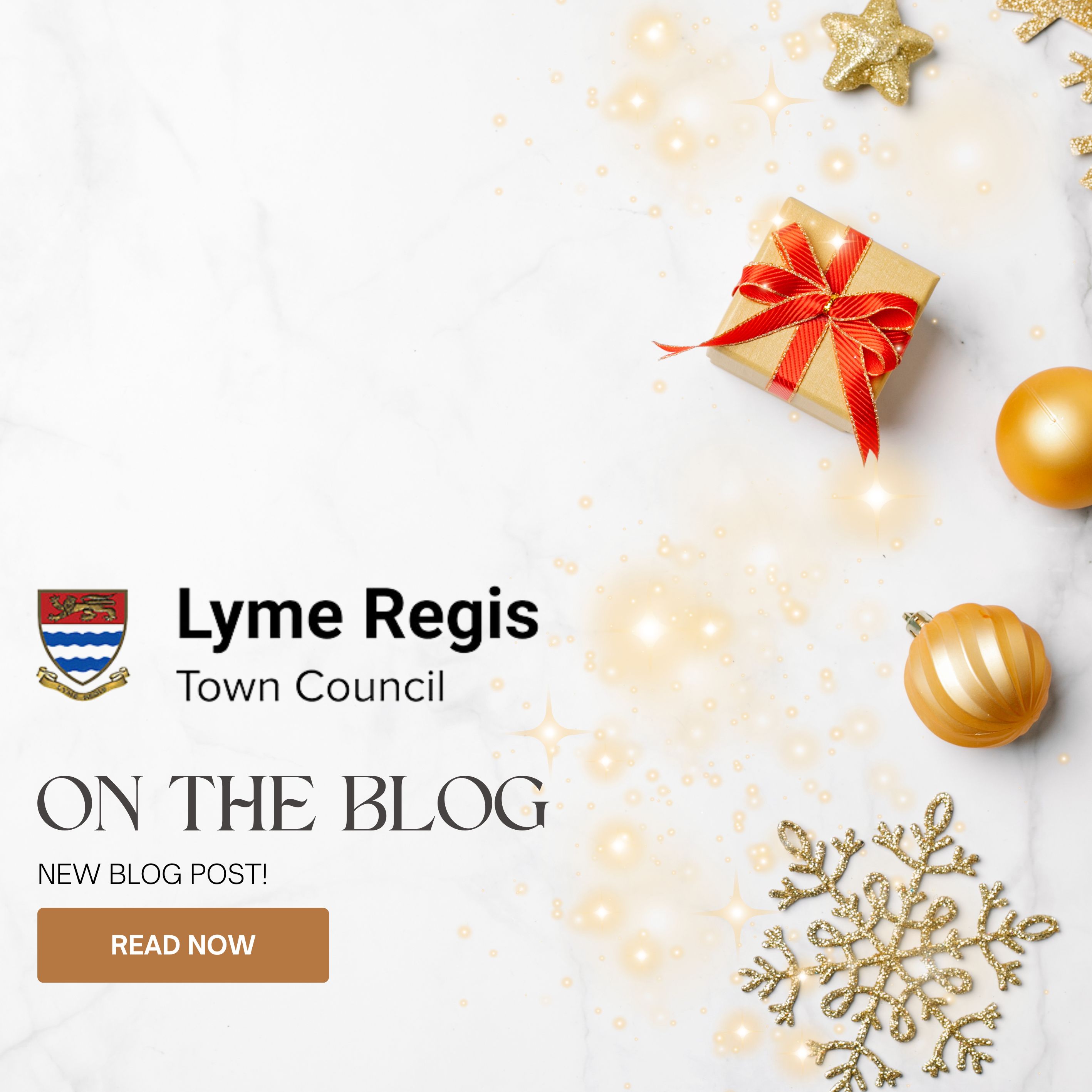 A Year of Success and Celebration: Lyme Regis Town Council Reflects on ...