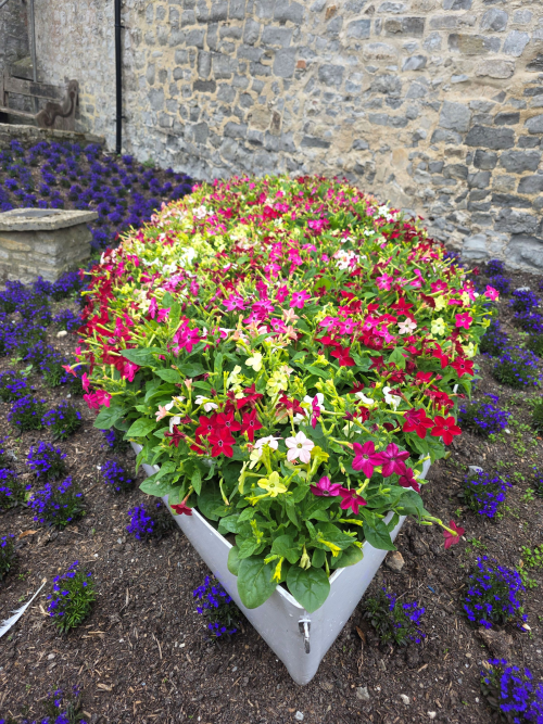 New boat planter in Langmoor Gardens by the main gate entrance