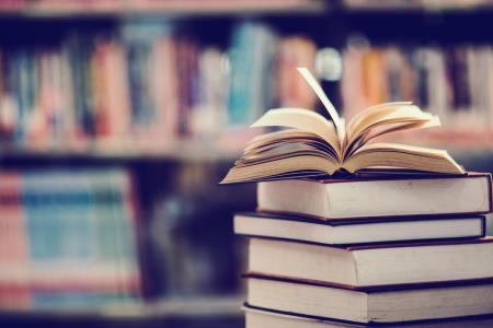 Dorset Council Library Service Public Consultation