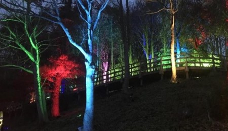 Light it Blue for World Parkinsons Day this April