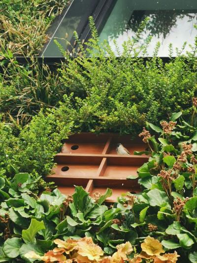 green homes, with healthy green foliage surrounding it
