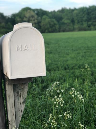 Stay connected with Lyme Regis Town Council