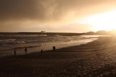 Lyme Litter Pick