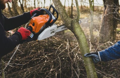 an image of a man with a chainsaw cutting down a tree in a forest