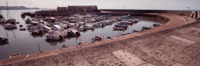Visitor ambassadors to welcome people to Lyme Regis and Dorset