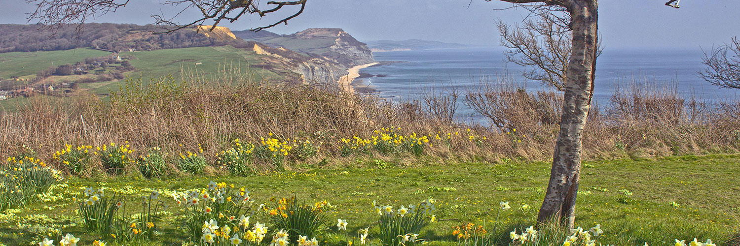 Broad Street Lyme Regis