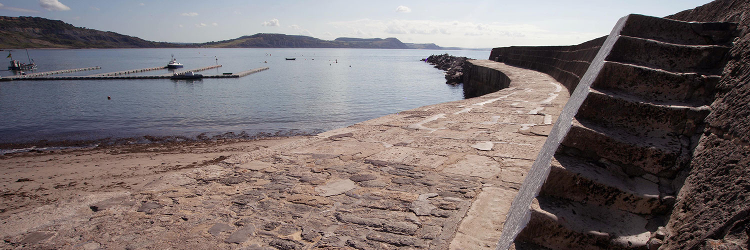 Grannys teeth Lyme Regis