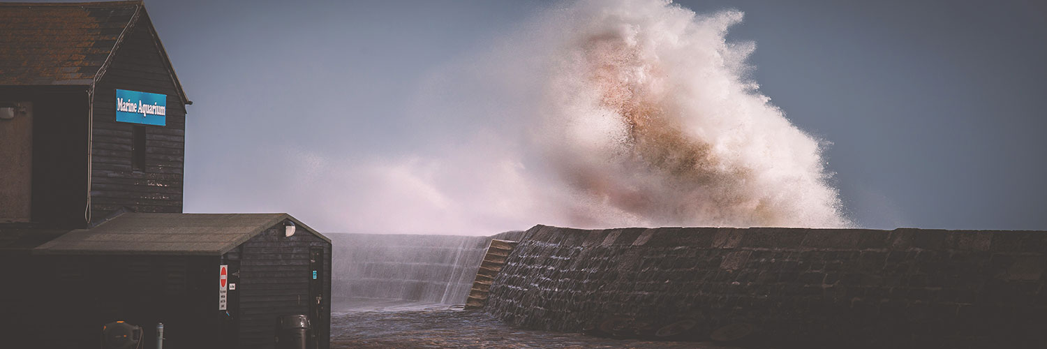 Stormy cobb