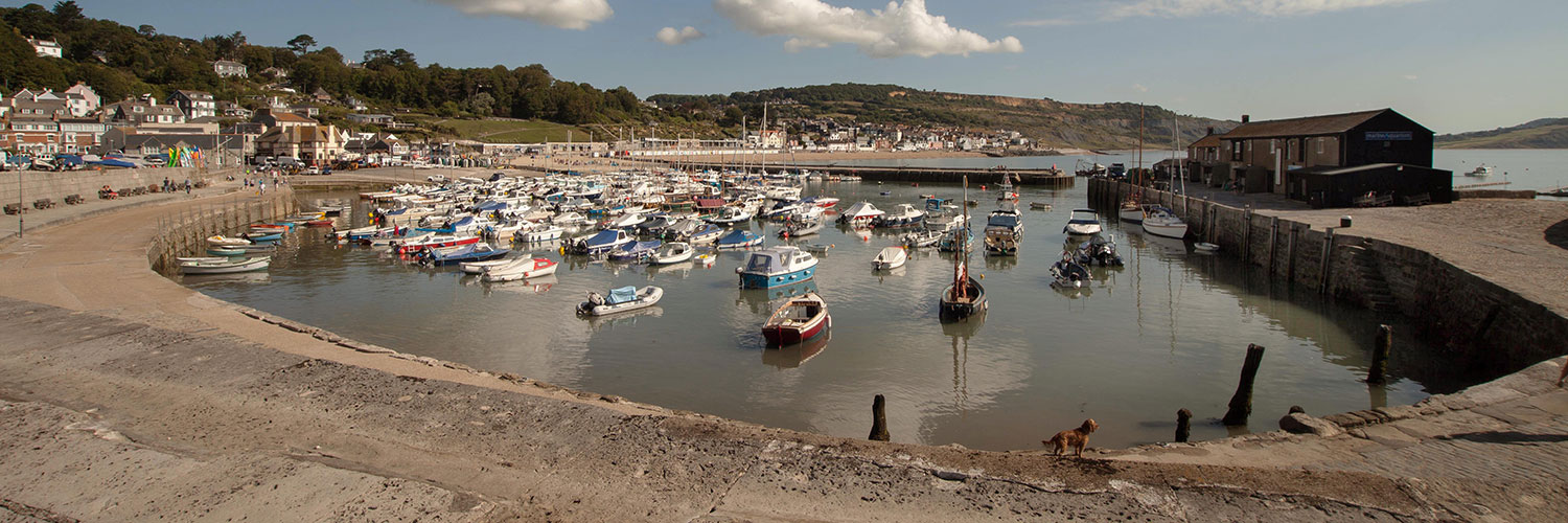 Sunny boats in harbour