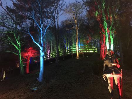 Gardens lights adding sparkle to Christmas