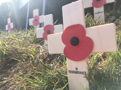 Poppy garden tribute for First World War centenary