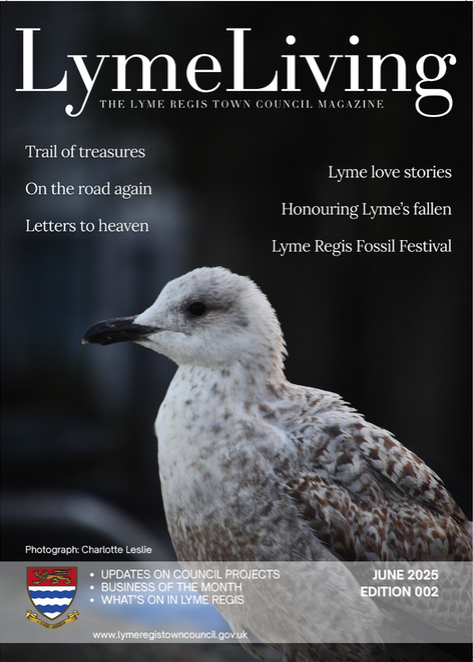 LymeLiving Magazine for June 2025