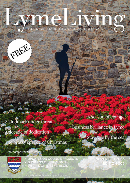 LymeLiving November 2025